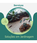 Serviços de jardinagem no boqueirão em Praia Grande e região.