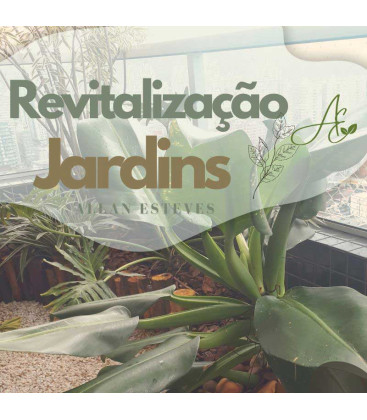 Praia-Grande-SP-Serviço-de-revitalização-de-jardim