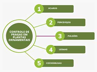 Controle de pragas em jardins - serviço de jardinagem