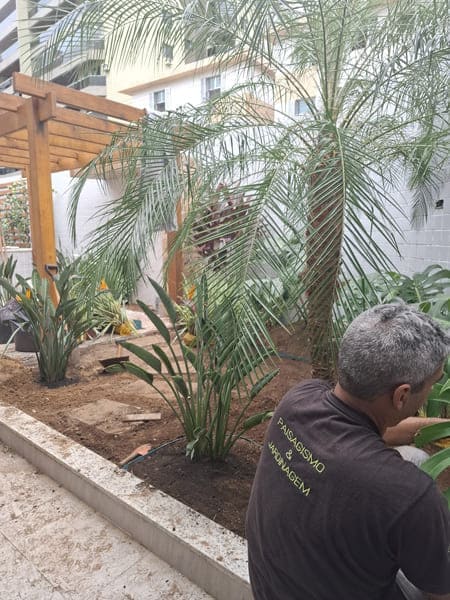 Implantação do projeto de Paisagismo