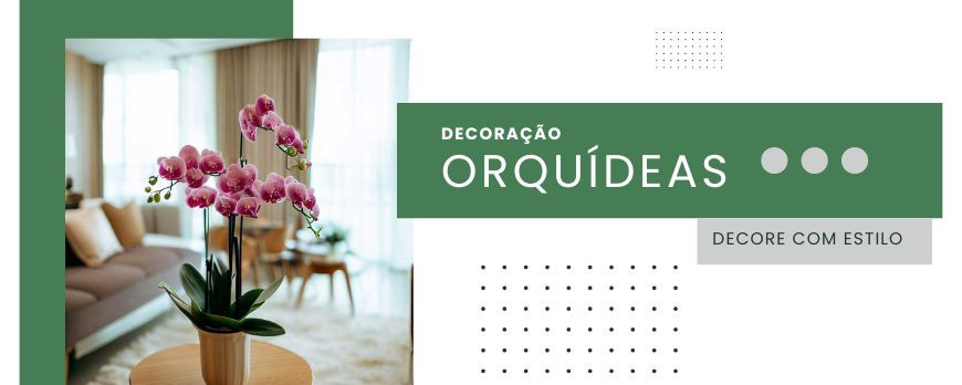 Decoração com Orquídeas: Refinamento e Classe para o Seu Espaço