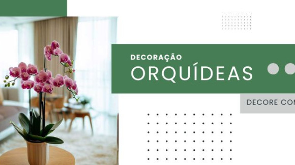 Decoração com Orquídeas: Refinamento e Classe para o Seu Espaço