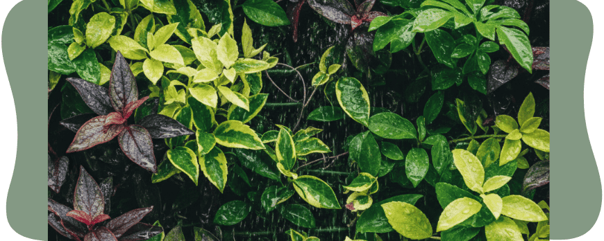 A floresta suspensa no seu living: jardins verticais em apartamentos no Canto do Forte