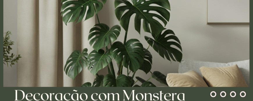 Decorar com Costela de Adão